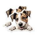 (2 Pack) Animal Lover Decor Magnet - Fridge Decor - Kitchen Accessories - 5" On Longest Side - Sticks to Smooth Flat Surfaces - Made in USA - MAG10243
