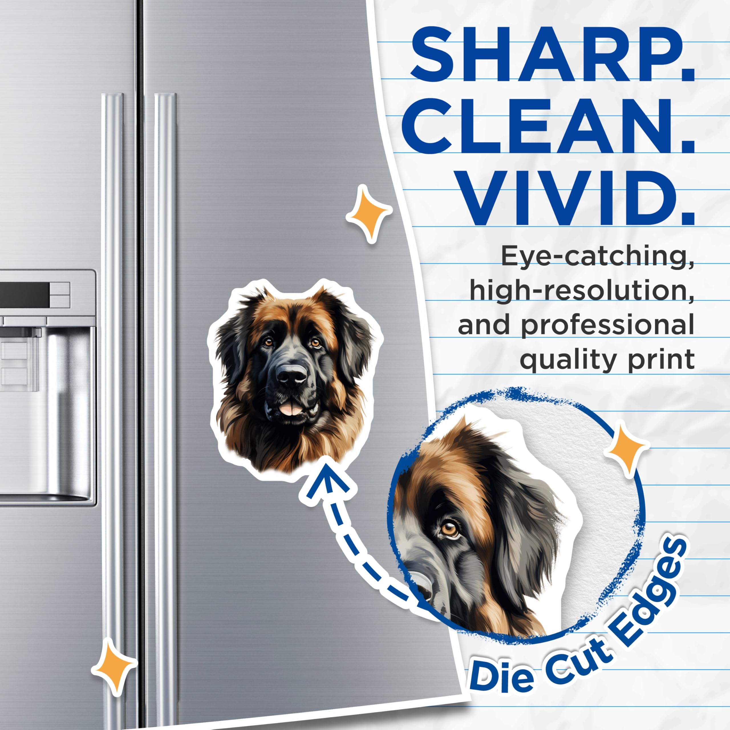 (2 Pack) Leonberger Dog Magnets - Fluffy Dog Portrait - Dog Lover Home Decor - 5 Inches On Longest Side - Thick Durable Magnet - Made in USA - MAG26531