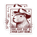 (2 Pack) You Just Yee'd Your Last Haw Magnets - Funny Sarcastic Capybara Magnets - 5 Inches On Longest Side - Premium Magnet - for Cars, Refrigerators, Toolboxes - Made in USA - MAG2227