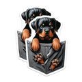 (2 Pack) Puppy Magnets - Rottweiler Magnets - Dog Fridge Magnets - Cute Dog Magnets - Animal Lover Magnets - 5" On Longest Side - for Cars, Fridges, Toolboxes - Made in USA - MAG4379