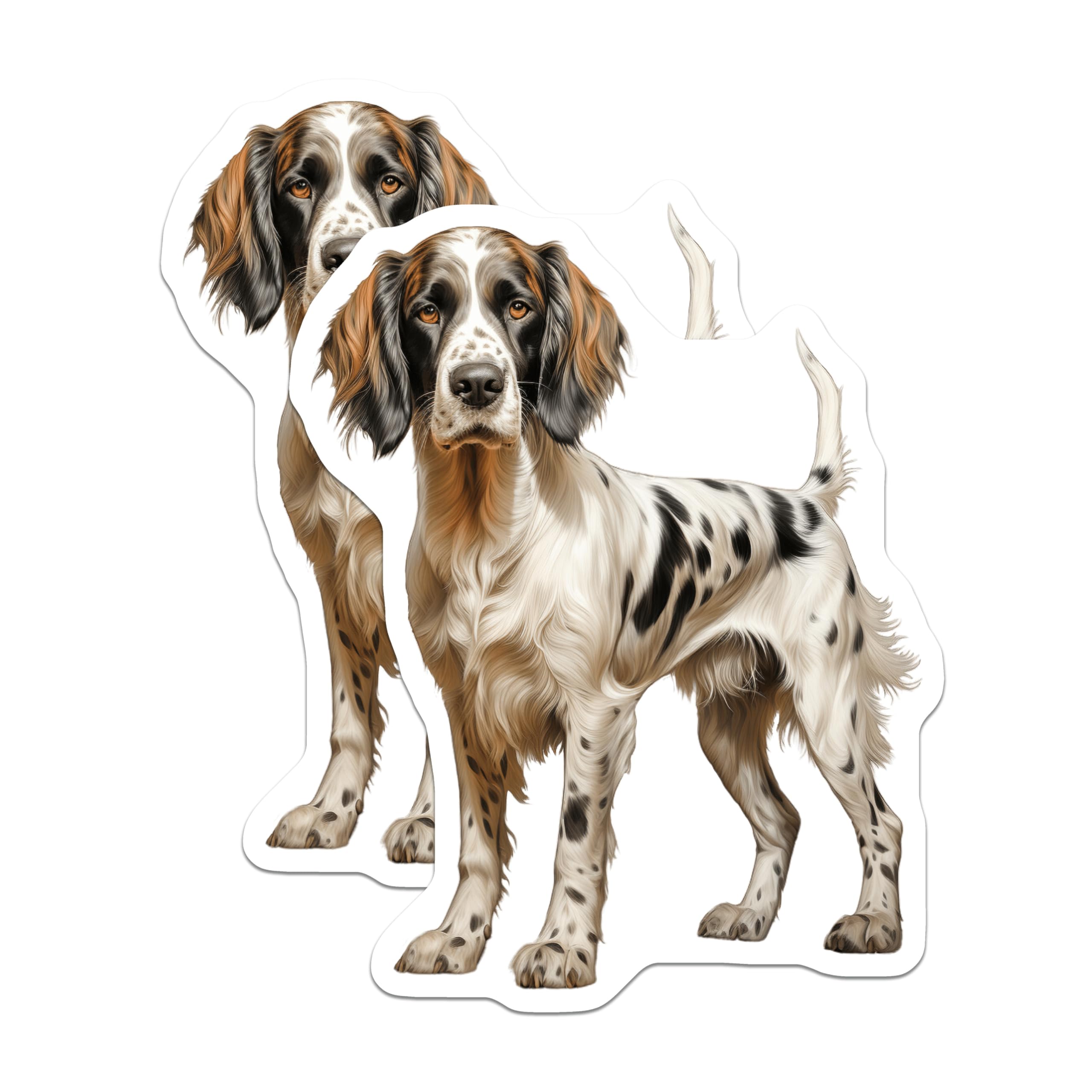 (2 Pack) English Setter Dog Magnets - Realistic Pet Art - Hunting Dog Breed Decor - 5 Inches On Longest Side - Thick Durable Magnet - Made in USA - MAG27295