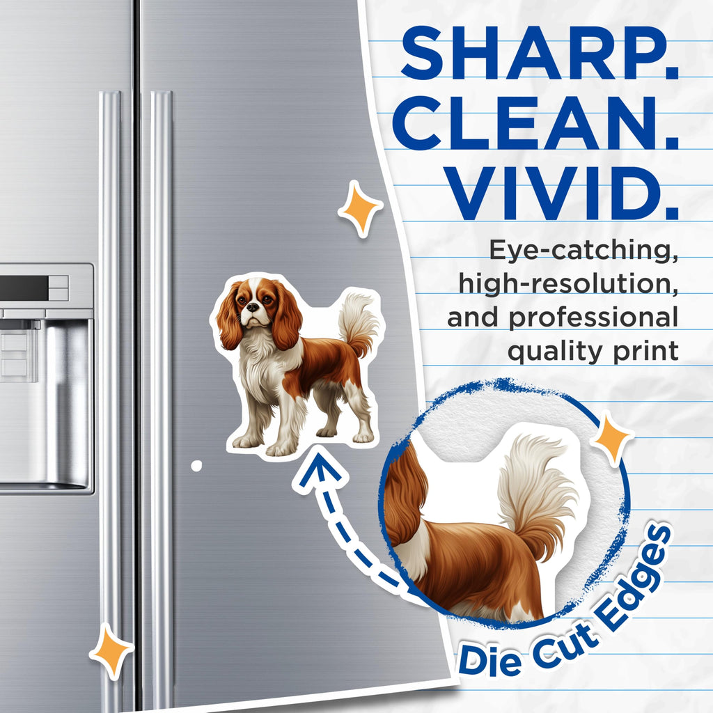 (2 Pack) Cavalier King Charles Spaniel Magnets - Blenheim Dog Breed Art - Adorable Pet Lover Accessory - Canine Home Decor - 5 Inches On Longest Side - Thick Durable Magnet - Made in USA - MAG23615