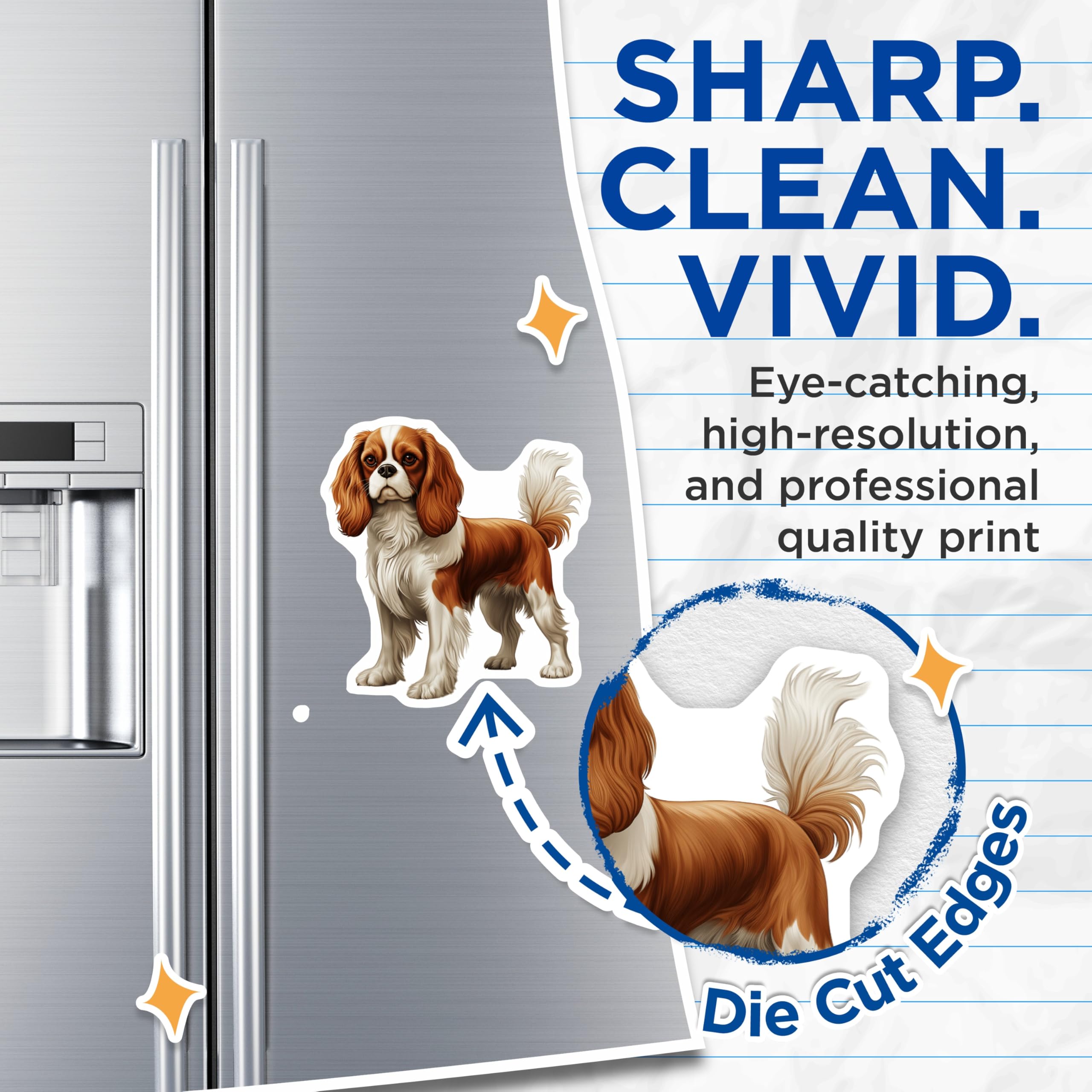 (2 Pack) Cavalier King Charles Spaniel Magnets - Blenheim Dog Breed Art - Adorable Pet Lover Accessory - Canine Home Decor - 5 Inches On Longest Side - Thick Durable Magnet - Made in USA - MAG23615