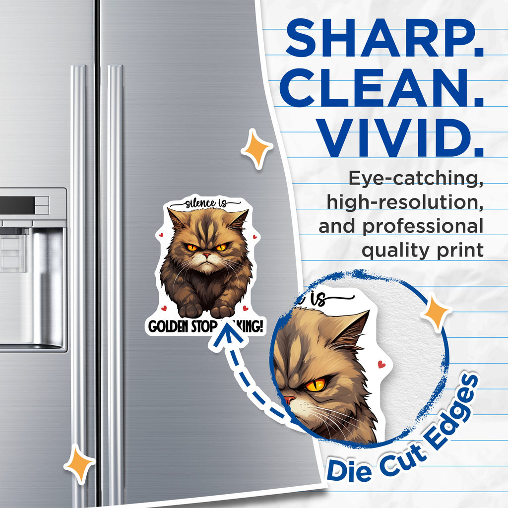 (2 Pack) Grumpy Cat Magnets - Silence Golden Stop Talking Quote - Funny Sarcastic Pet Humor - 5 Inches On Longest Side - Thick Durable Magnet - Made in USA - MAG38588