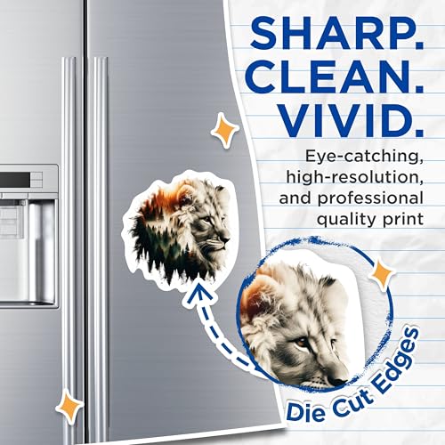(2 Packs) Lion with Forest Background Magnets - Cool Lion Wilderness Nature Animal Magnets - 5 Inches On Longest Side - Premium Magnet - for Fridges, Toolboxes, Cars - Made in USA - MAG2268