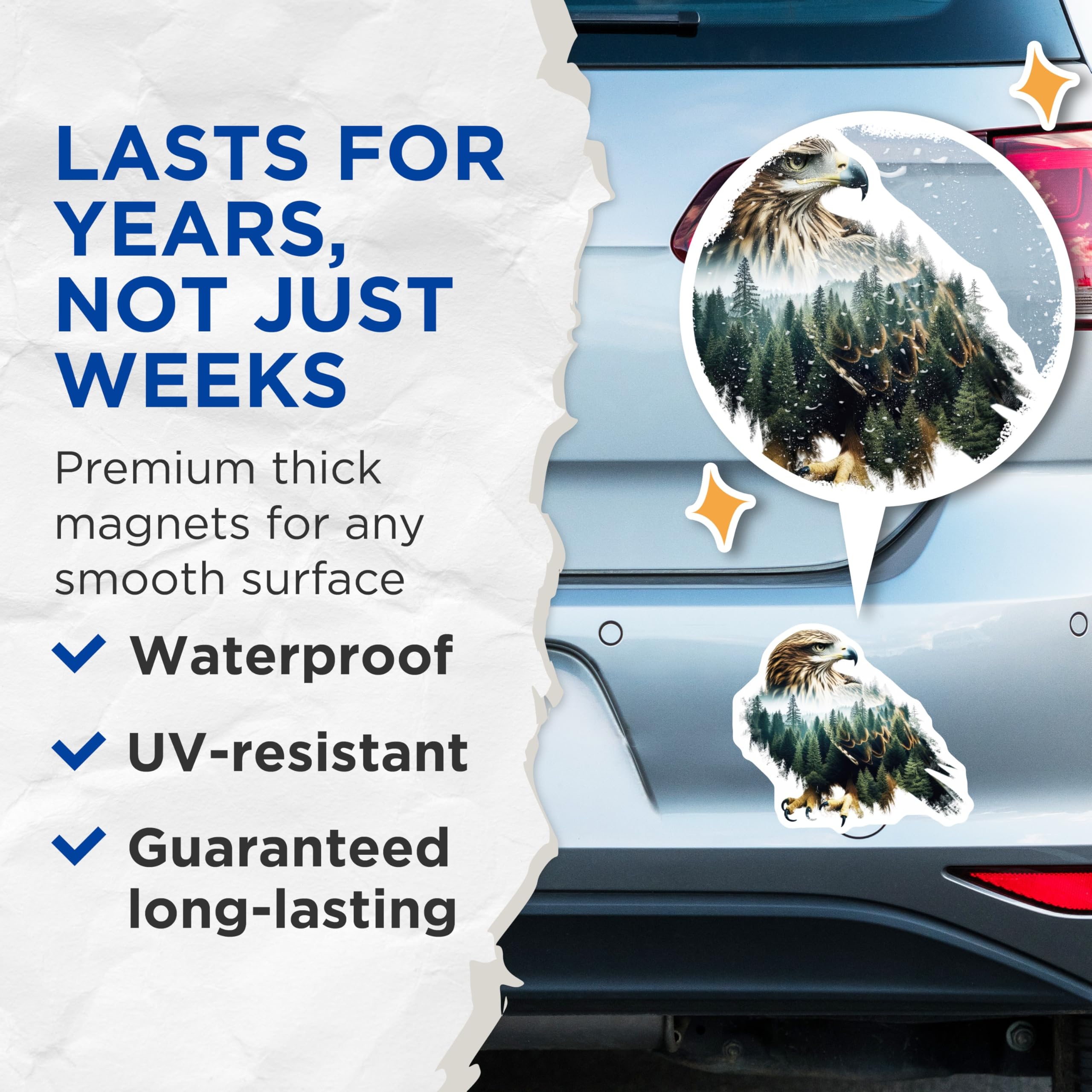 (2 Pack) Eagle Magnets - Majestic Bird Forest Art - Fridge Home Decor - 5" On Longest Side - Premium Magnet - for Cars, Refrigerators, Toolboxes, Lockers - Made in USA - MAG14016