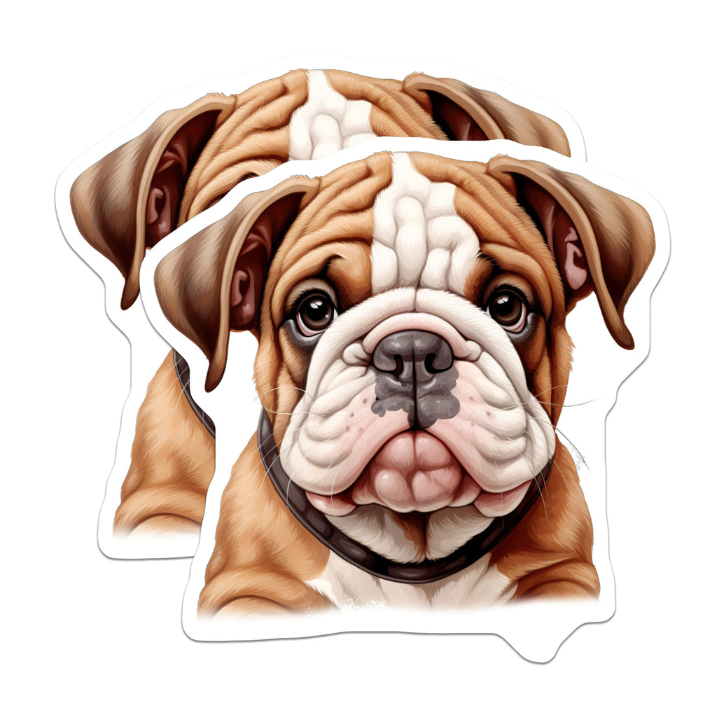 (2 Pack) Adorable English Bulldog Puppy Magnets - Cute Dog Lover Fridge Decor - Pet Owner Present - Locker Art - 5 Inches On Longest Side - Thick Durable Magnet - Made in USA - MAG25396