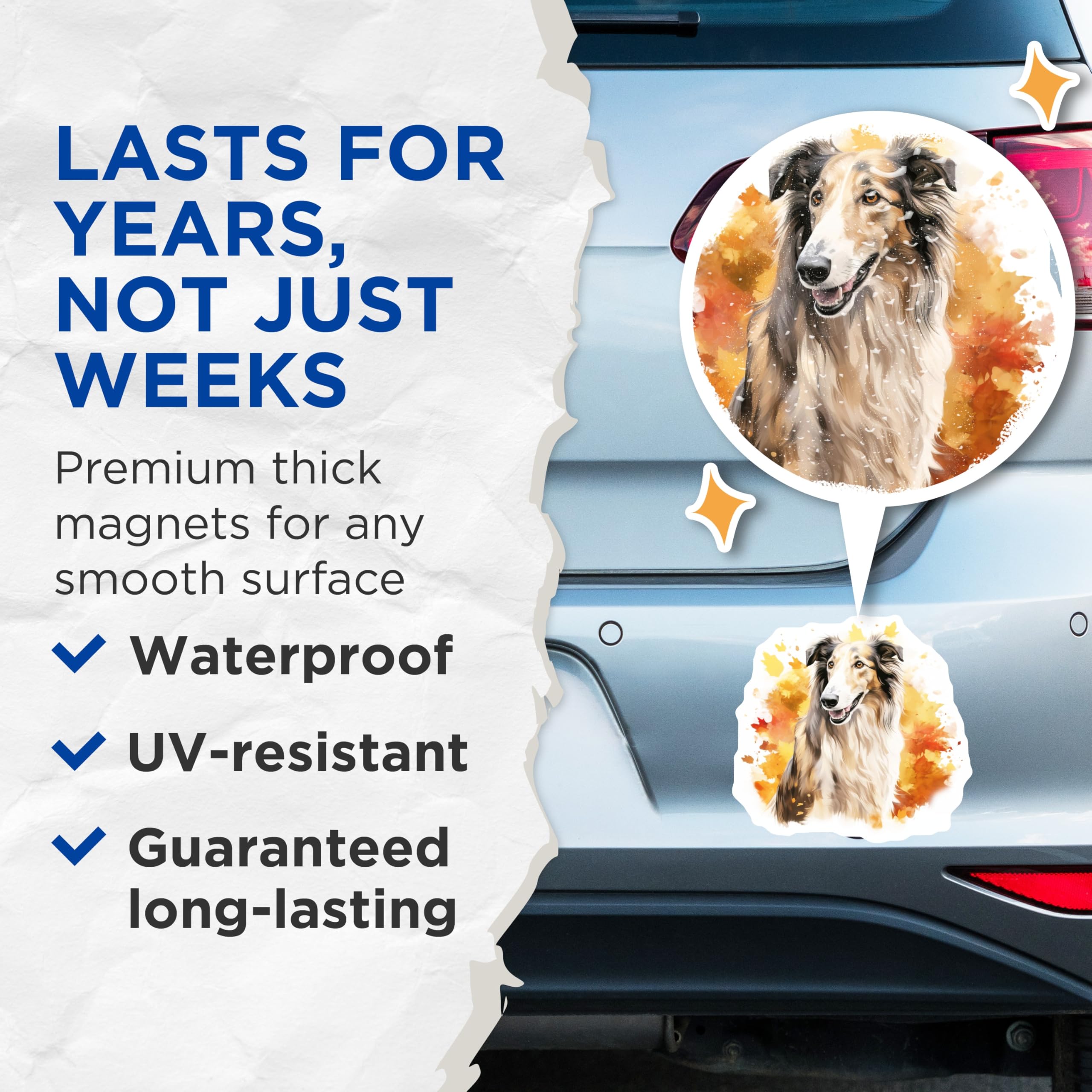 (2 Pack) Rough Collie Magnets - Watercolor Dog Art - Autumn Leaves Decor - 5 Inches On Longest Side - Thick Durable Magnet - Made in USA - MAG28852