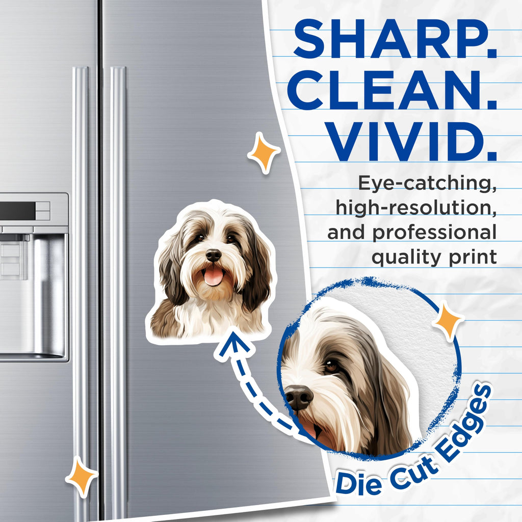 (2 Pack) Bearded Collie Magnets - Cute Shaggy Dog Art - Dog Lover Fridge Decor - 5 Inches On Longest Side - Thick Durable Magnet - Made in USA - MAG25979