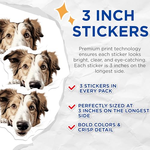 (3 Pack) Border Collie Decals - Dog Breed Stickers - Laptop Car Decals - 3 Inches On Longest Side - Easy Peel & Apply - Made in USA - 3MCS8646