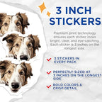 (3 Pack) Border Collie Decals - Dog Breed Stickers - Laptop Car Decals - 3 Inches On Longest Side - Easy Peel & Apply - Made in USA - 3MCS8646