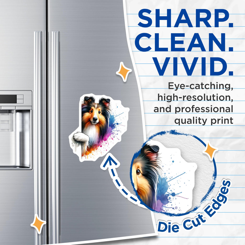 (2 Pack) Sheltie Magnets - Watercolor Dog Art - Refrigerator Magnets - 5" On Longest Side - Premium Magnet - for Cars, Refrigerators, Toolboxes, Lockers - Made in USA - MAG15100