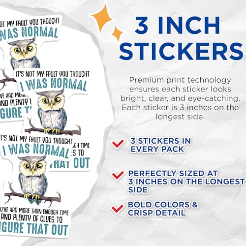 (3 Pack) Funny Owl Decals - Sarcastic Quote Stickers - Laptop Decal - 3 Inches On Longest Side - Easy Peel & Apply - Made in USA - 3MCS6503