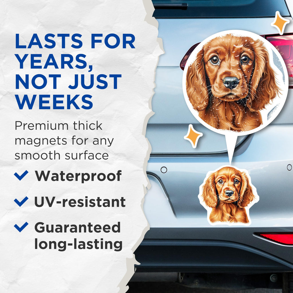(2 Pack) Cocker Spaniel Puppy Magnets - Dog Lover Refrigerator Decor - Pet Owner Kitchen Accessory - 5 Inches On Longest Side - Thick Durable Magnet - Made in USA - MAG26755