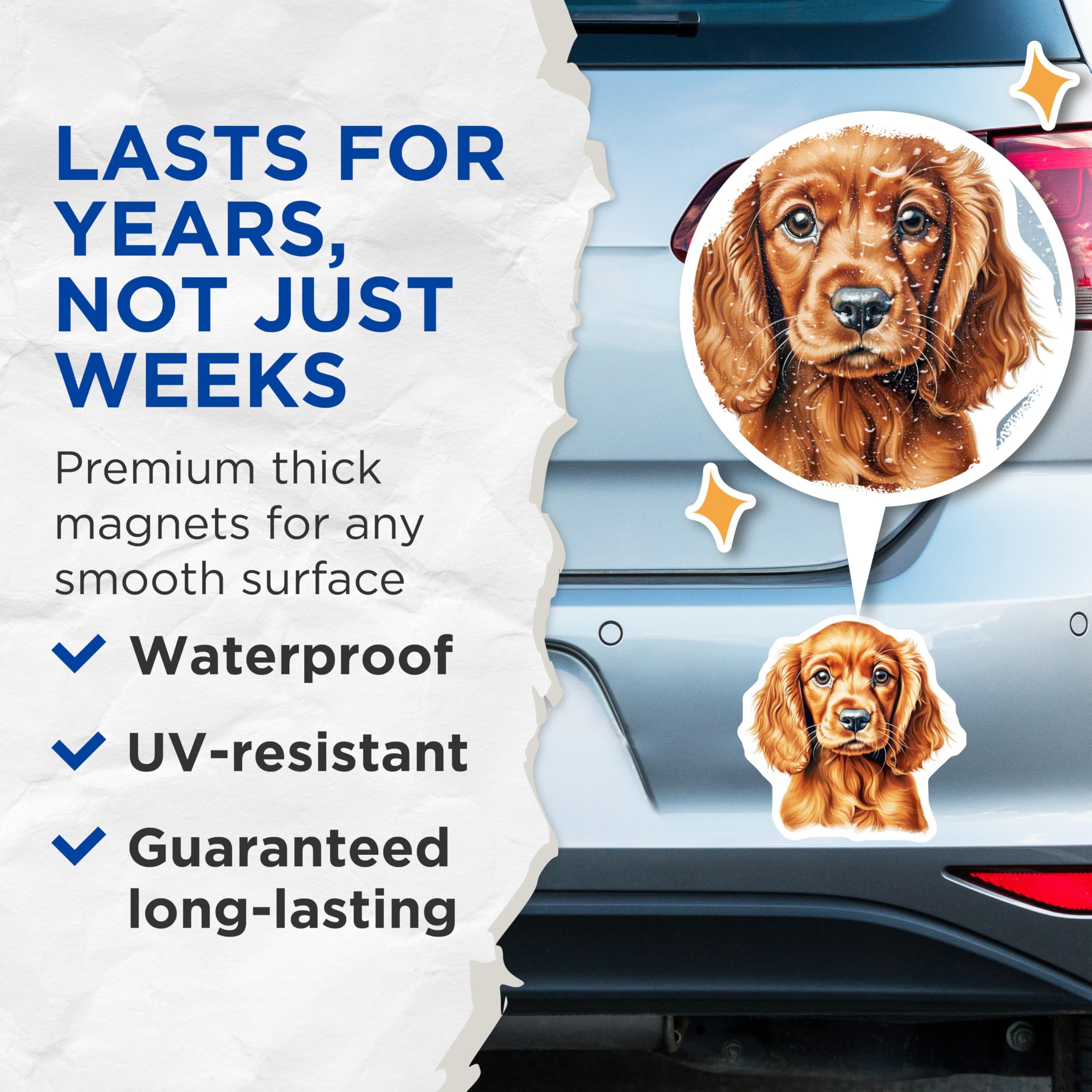 (2 Pack) Cocker Spaniel Puppy Magnets - Dog Lover Refrigerator Decor - Pet Owner Kitchen Accessory - 5 Inches On Longest Side - Thick Durable Magnet - Made in USA - MAG26755