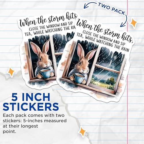 (2 Pack) Inspirational Bunny Stickers - Motivational Quotes - Weather Cozy Tea Time DÃƒÂ©cor - 5" On Longest Side - Sticks to Smooth Flat Surfaces - Made in USA - BMCS8753