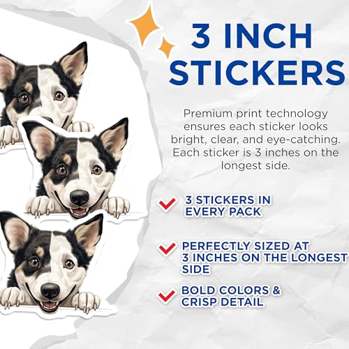 (3 Pack) Australian Shepherd Decals - Cute Dog Breed Stickers - Laptop Decal - 3 Inches On Longest Side - Easy Peel & Apply - Made in USA - 3MCS8660