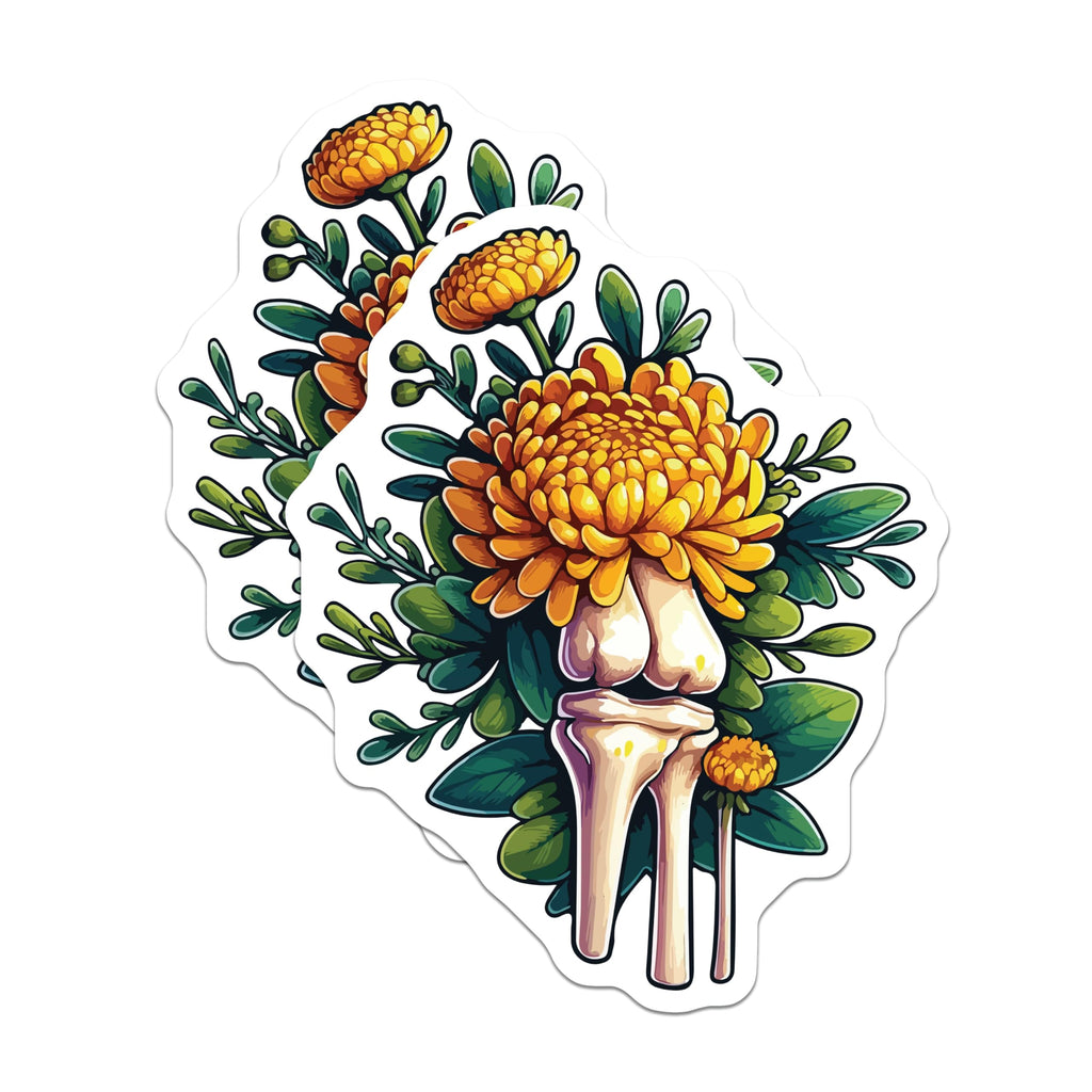 (2 Pack) Anatomical Floral Magnets - Chrysanthemum Bones Art - Unique Skeletal Decor - 5 Inches On Longest Side - Thick Durable Magnet - Made in USA - MAG19599