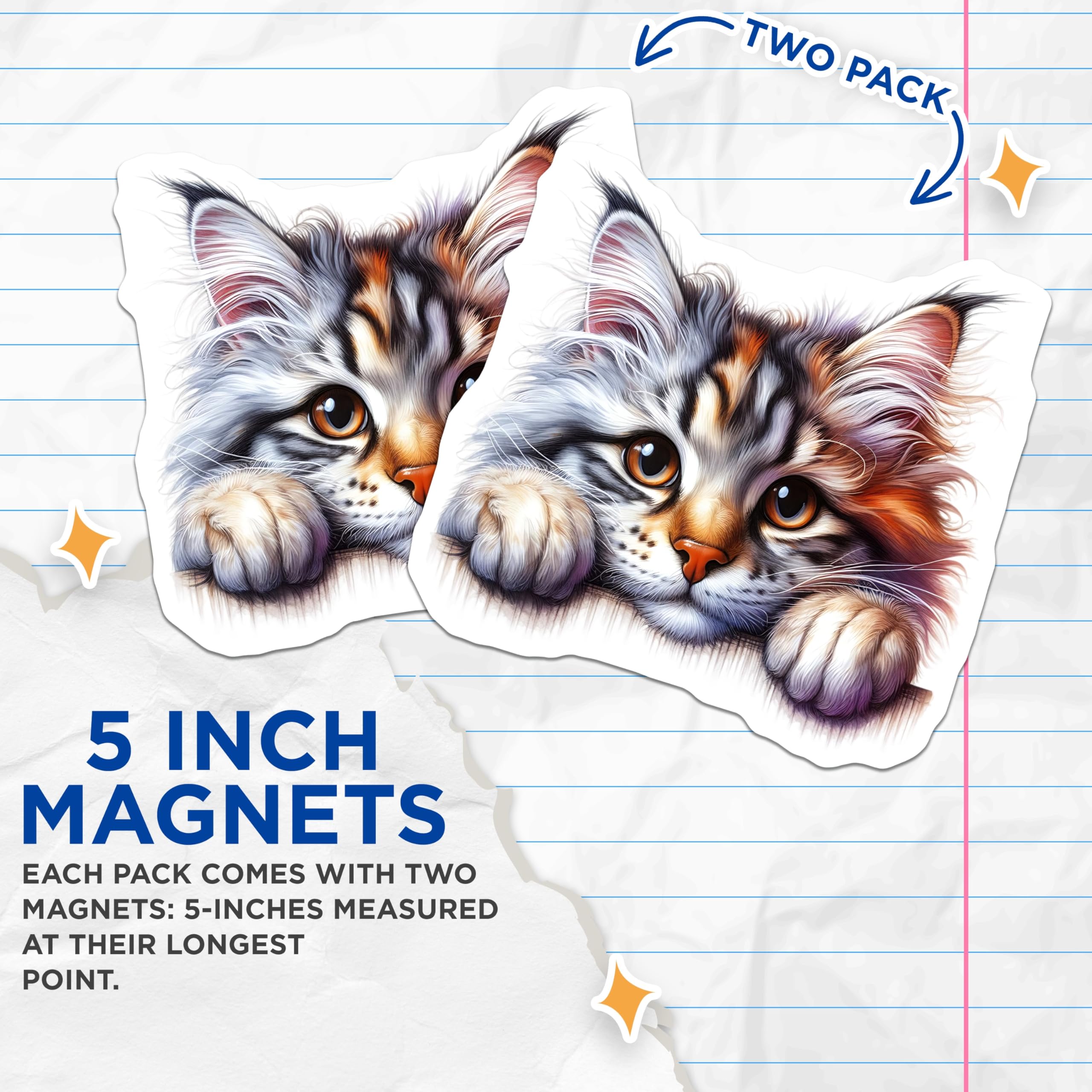 (2 Pack) Maine Coon Cat Magnets - Cute Kitten Decor - Fridge Magnets - 5" On Longest Side - Premium Magnet - for Cars, Refrigerators, Toolboxes, Lockers - Made in USA - MAG15476