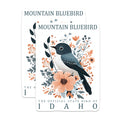 (2 Pack) Mountain Bluebird Stickers - Idaho State Bird - Floral Stickers - 5" On Longest Side - Sticks to Smooth Flat Surfaces - Made in USA - BMCS18889