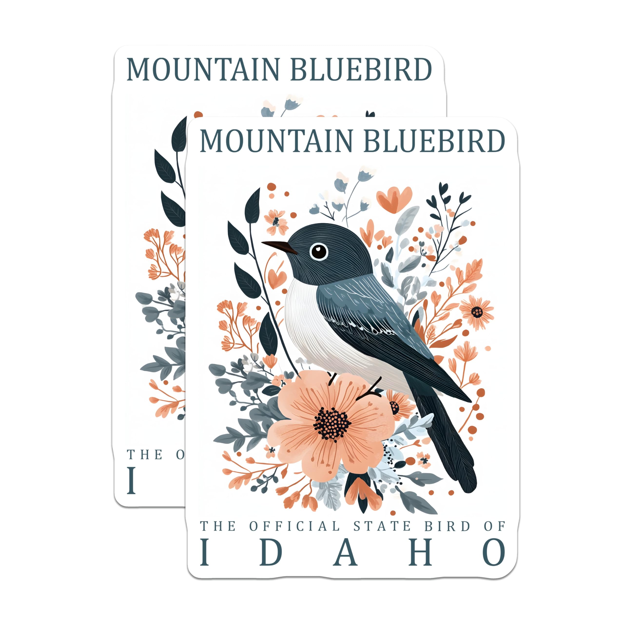 (2 Pack) Mountain Bluebird Stickers - Idaho State Bird - Floral Stickers - 5" On Longest Side - Sticks to Smooth Flat Surfaces - Made in USA - BMCS18889