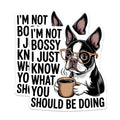 (2 Pack) Boston Terrier Magnets - Funny Bossy Dog Quote - Coffee Lover Pet Decor - 5 Inches On Longest Side - Thick Durable Magnet - Made in USA - MAG21479
