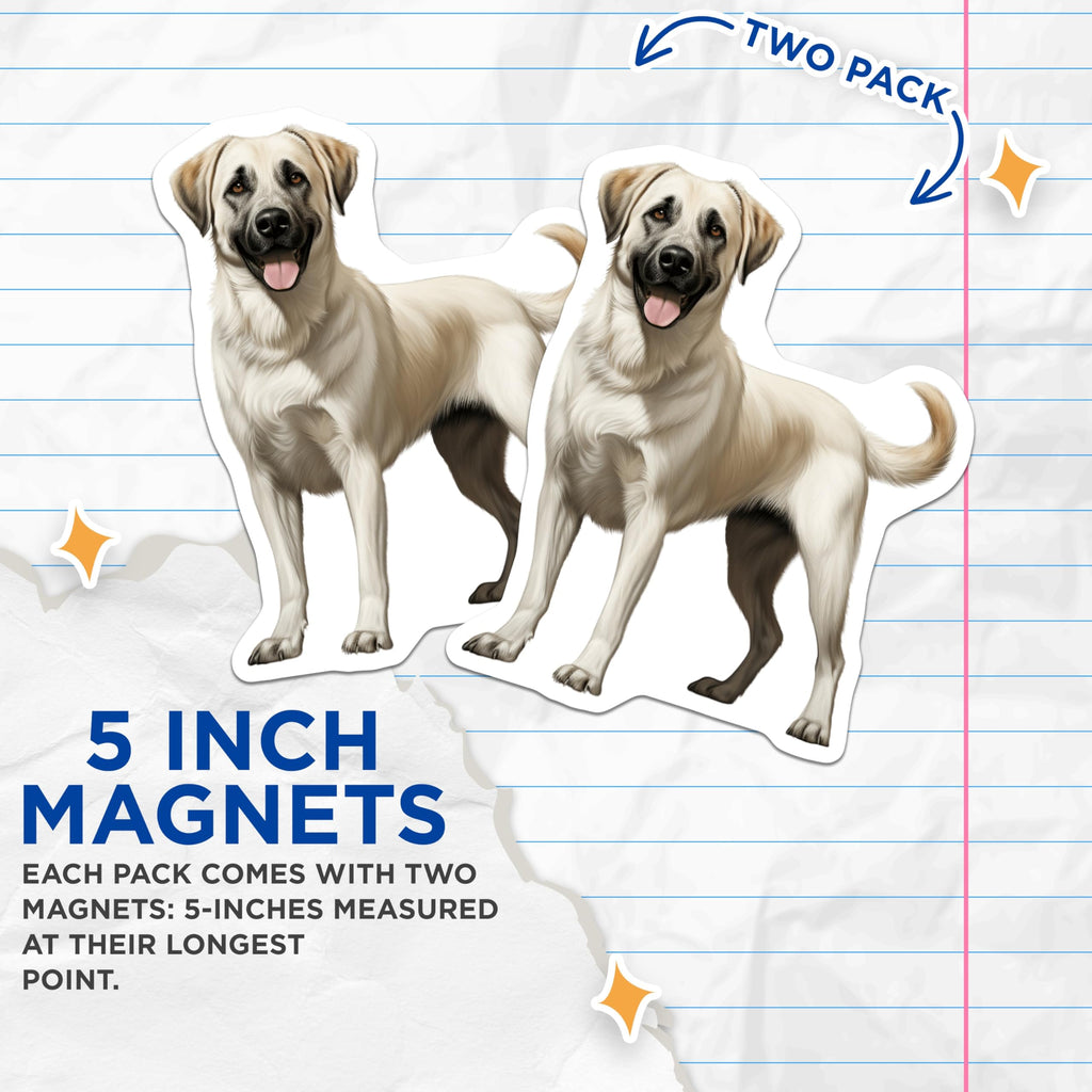 (2 Pack) Akbash Dog Magnets - Loyal Livestock Guardian Dog Art - Pet Owner Refrigerator Decor - 5 Inches On Longest Side - Thick Durable Magnet - Made in USA - MAG29417