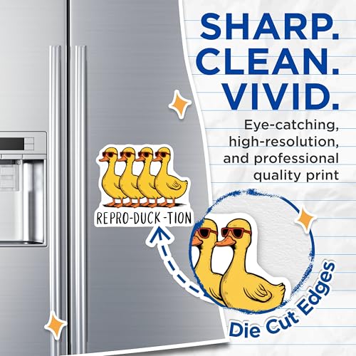 (2 Pack) Reproduction Pun Magnet - Kitchen Fridge Decor - Office Decor - 5" On Longest Side - Sticks to Smooth Flat Surfaces - Made in USA - MAG9531