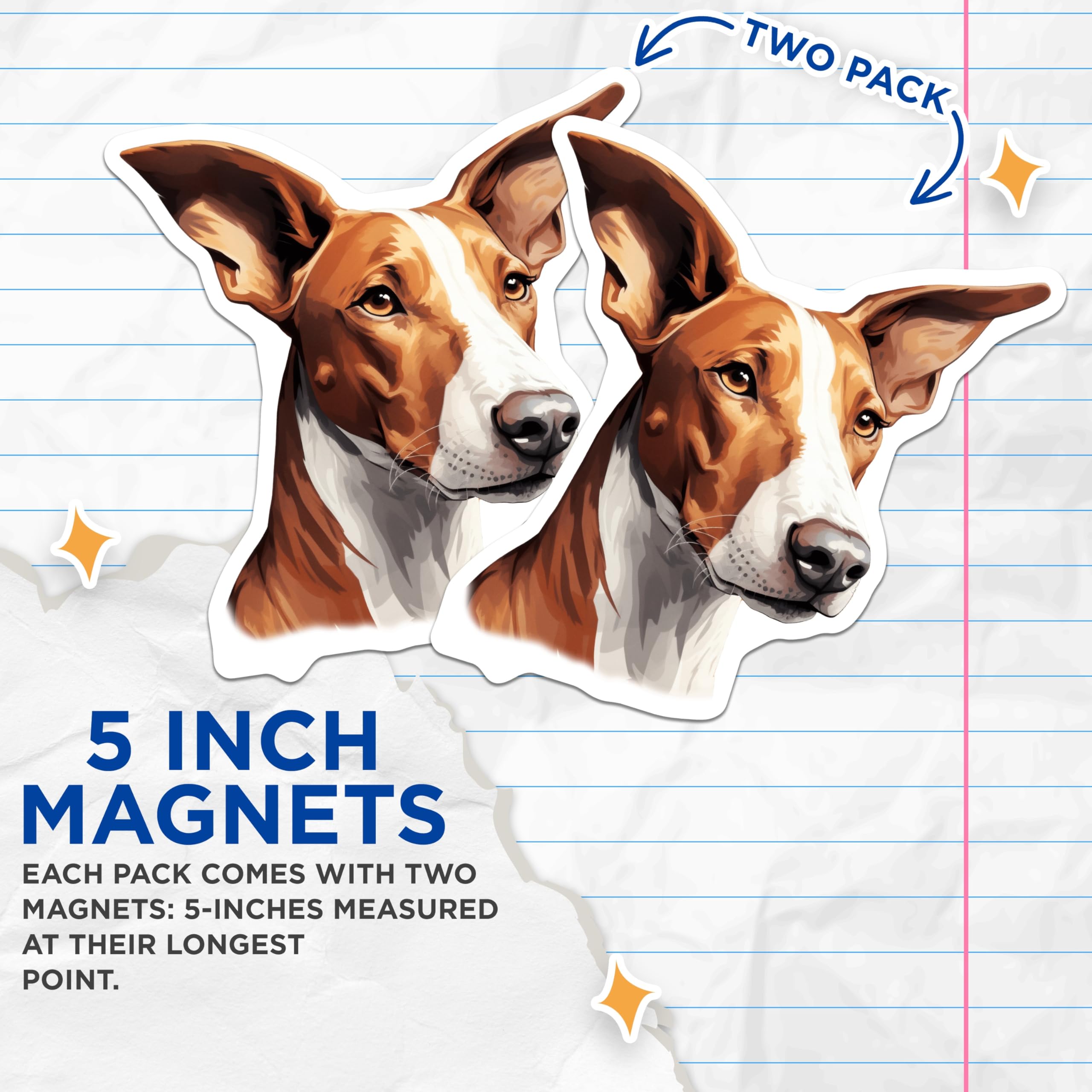 (2 Pack) Basenji Dog Magnets - African Hound Decor - Unique Pet Lover Magnet - 5 Inches On Longest Side - Thick Durable Magnet - Made in USA - MAG24663