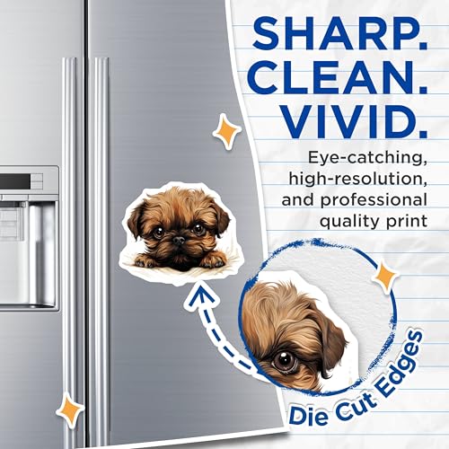 (2 Pack) Dog Lover Decor Magnet - 5" On Longest Side - Sticks to Smooth Flat Surfaces - Made in USA - MAG9891