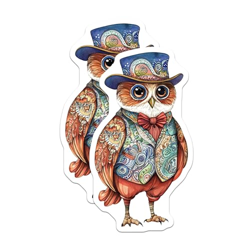 (2 Pack) Cute Owl Stickers - Artistic Owl Design - Whimsical Animal Stickers - 5" On Longest Side - Sticks to Smooth Flat Surfaces - Made in USA - BMCS9515