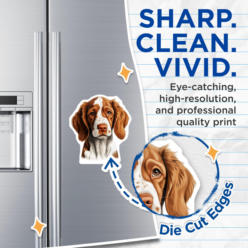 (2 Pack) Springer Spaniel Dog Magnets - Pet Lover Refrigerator Decor - Canine Breed Art - 5 Inches On Longest Side - Thick Durable Magnet - Made in USA - MAG30449