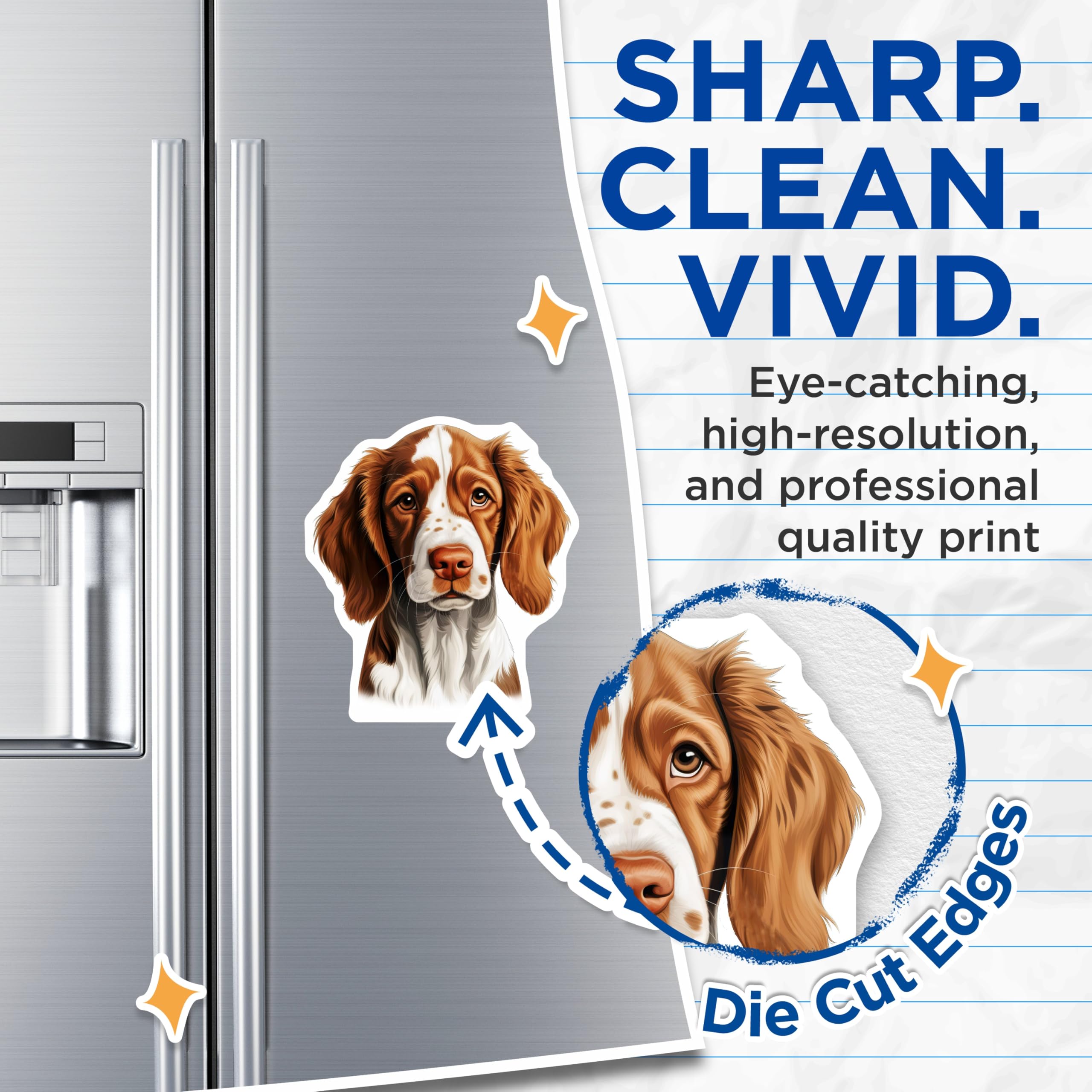 (2 Pack) Springer Spaniel Dog Magnets - Pet Lover Refrigerator Decor - Canine Breed Art - 5 Inches On Longest Side - Thick Durable Magnet - Made in USA - MAG30449