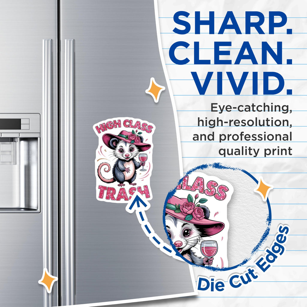 (2 Pack) Opossum Magnets - High Class Trash - Funny Animal Saying - 5" On Longest Side - Premium Magnet - for Cars, Refrigerators, Toolboxes, Lockers - Made in USA - MAG16430