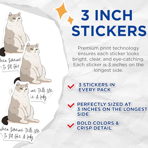 (3 Pack) Funny Cat Decals - Sit Like a Lady Meme - Sassy Cat Sticker - 3 Inches On Longest Side - Easy Peel & Apply - Made in USA - 3MCS6585
