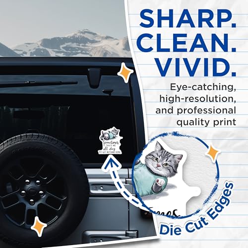 (2 Pack) Funny Cat Stickers - Lazy Day Cat Stickers - Humor Quote Stickers for Planners and Laptops - 5" On Longest Side - Sticks to Any Smooth Flat Surface - Made in USA - BMCS3454