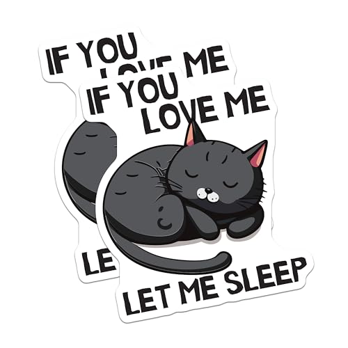 (2 Pack) Cat Lover Stickers - Cute Black Cat - Funny Animal Stickers - 5" On Longest Side - Sticks to Smooth Flat Surfaces - Made in USA - BMCS6001