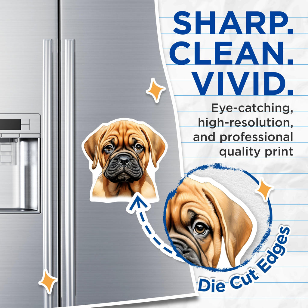 (2 Pack) Bullmastiff Puppy Magnets - Cute Dog Decor - Pet Lover Accessory - Fridge Locker Magnet - 5 Inches On Longest Side - Thick Durable Magnet - Made in USA - MAG24896