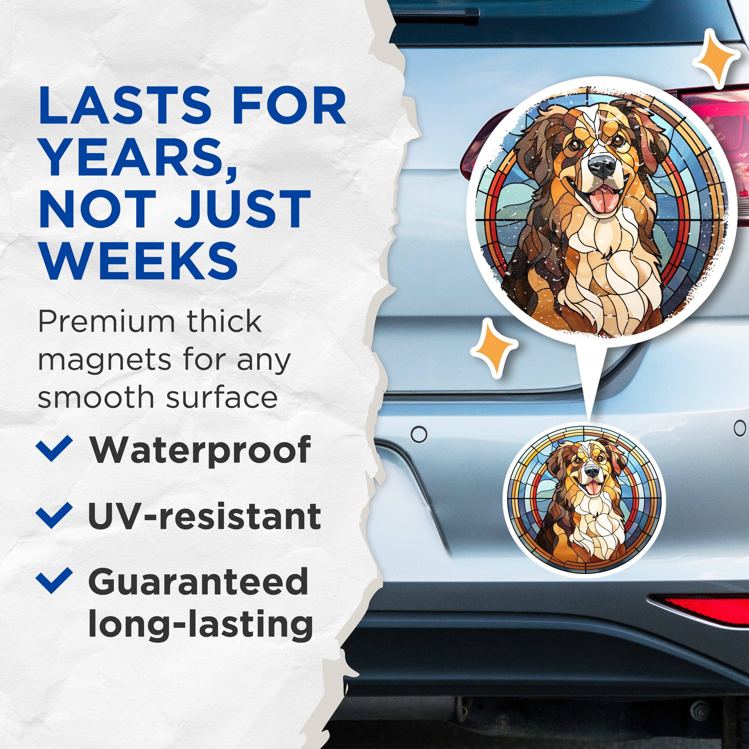 (2 Pack) Bernese Mountain Dog Magnets - Stained Glass Art Dogs - Australian Shepherd Decor - Pet Owners Fridge Magnets - 5 Inches On Longest Side - Thick Durable Magnet - Made in USA - MAG37724