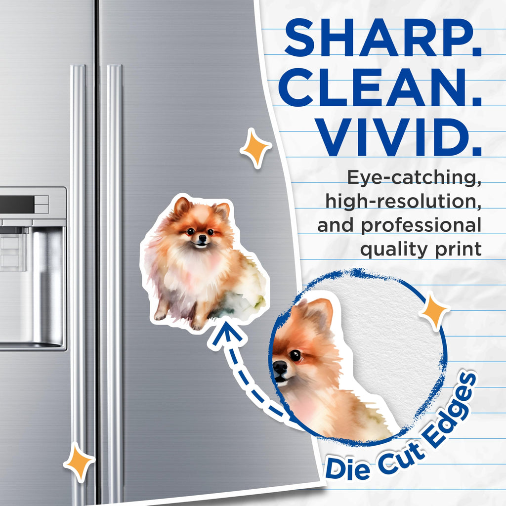 (2 Pack) Pomeranian Magnets - Cute Fluffy Dog Art - Refrigerator Decor for Dog Owners - 5 Inches On Longest Side - Thick Durable Magnet - Made in USA - MAG27879