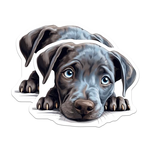 (2 Pack) Cute Dog Fridge Decor Magnet - Pet Lovers Home Office Decoration - 5" On Longest Side - Sticks to Smooth Flat Surfaces - Made in USA - MAG9876
