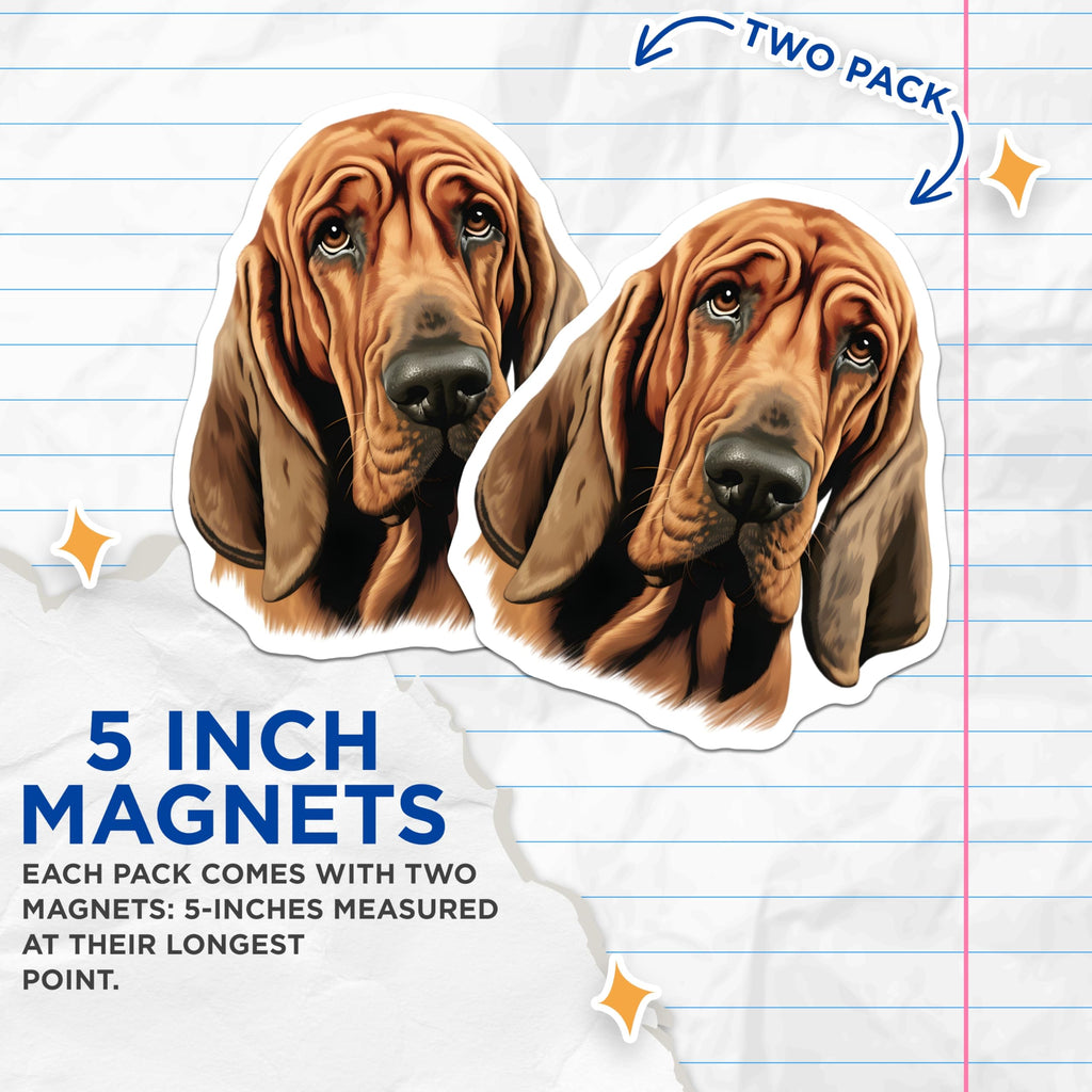 (2 Pack) Bloodhound Dog Portrait Magnets - Lifelike Hound Dog Art - Pet Owner Refrigerator Decor - 5 Inches On Longest Side - Thick Durable Magnet - Made in USA - MAG27366