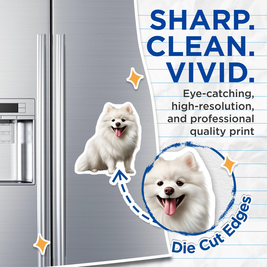 (2 Pack) White Fluffy Dog Magnets - Cute Pomeranian American Eskimo - Happy Puppy Pet Lover Refrigerator Decor - 5 Inches On Longest Side - Thick Durable Magnet - Made in USA - MAG28576