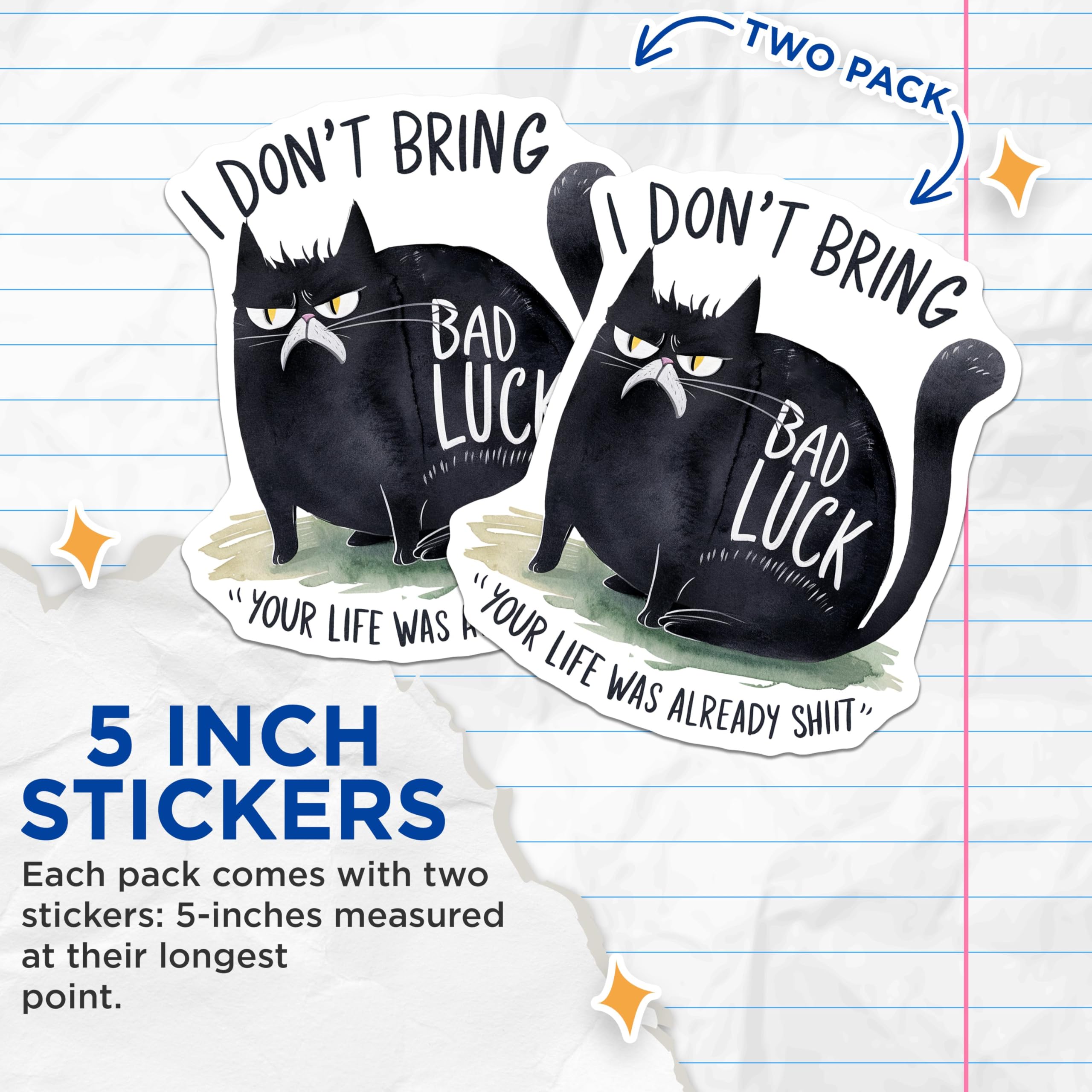 (2 Pack) Funny Cat Stickers - Grumpy Cat Humor Stickers - Sassy Cat Quote Stickers - 5" On Longest Side - Sticks to Any Smooth Flat Surface - Made in USA - BMCS3451