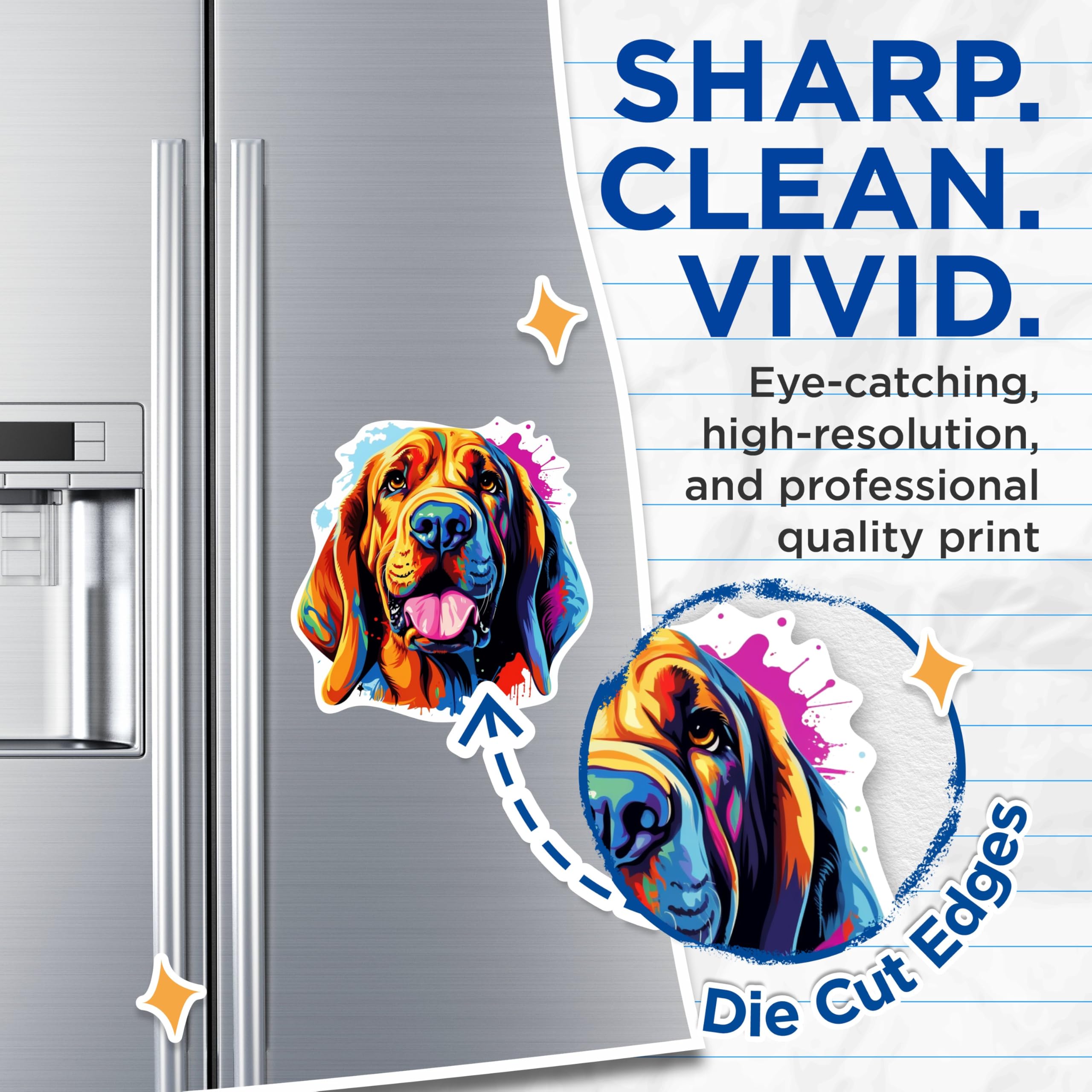 (2 Pack) Bloodhound Dog Breed Magnets - 5 Inches On Longest Side - Choose from Over 100 Dog Breeds - for Cars, Refrigerators, Toolboxes - Made in USA - MAG1782