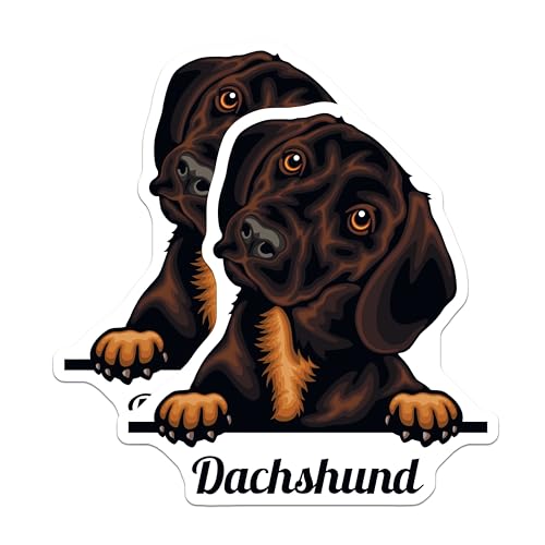 (2 Pack) Dachshund Dog Stickers - Cute Pet Stickers - Dog Lover Stickers - 5" On Longest Side - Sticks to Smooth Flat Surfaces - Made in USA - BMCS4217