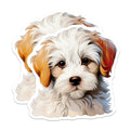 (2 Pack) Cute Fluffy Puppy Magnets - Adorable Dog Lover Refrigerator Decor - Pet Owner Art Magnets - 5 Inches On Longest Side - Thick Durable Magnet - Made in USA - MAG28776