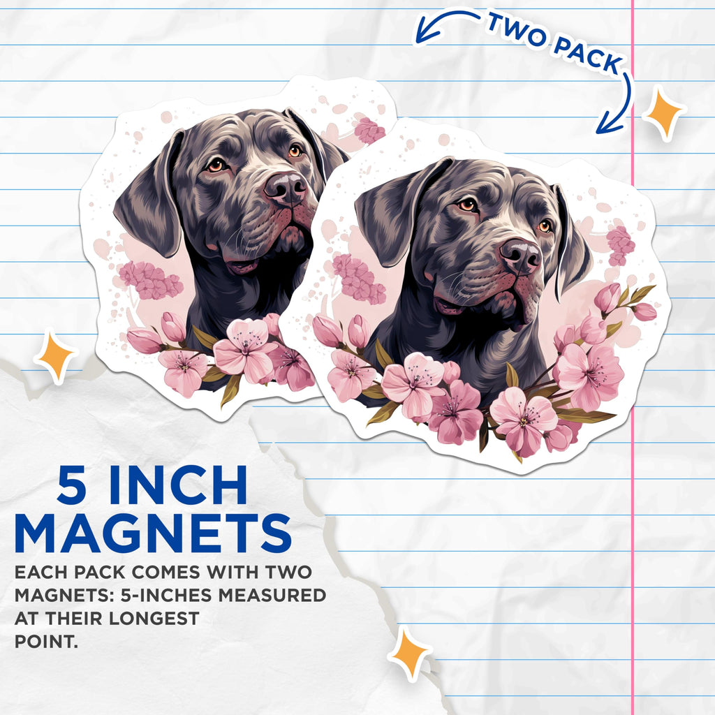 (2 Pack) Cane Corso Magnets - Majestic Dog Art - Pink Cherry Blossom Decor - Large Breed Canine Lover Fridge Accessories - 5 Inches On Longest Side - Thick Durable Magnet - Made in USA - MAG23887