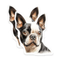 (2 Pack) Boston Terrier Magnets - Dog Mom Aesthetic - Pet Owner Decor for Fridge - 5 Inches On Longest Side - Thick Durable Magnet - Made in USA - MAG26968