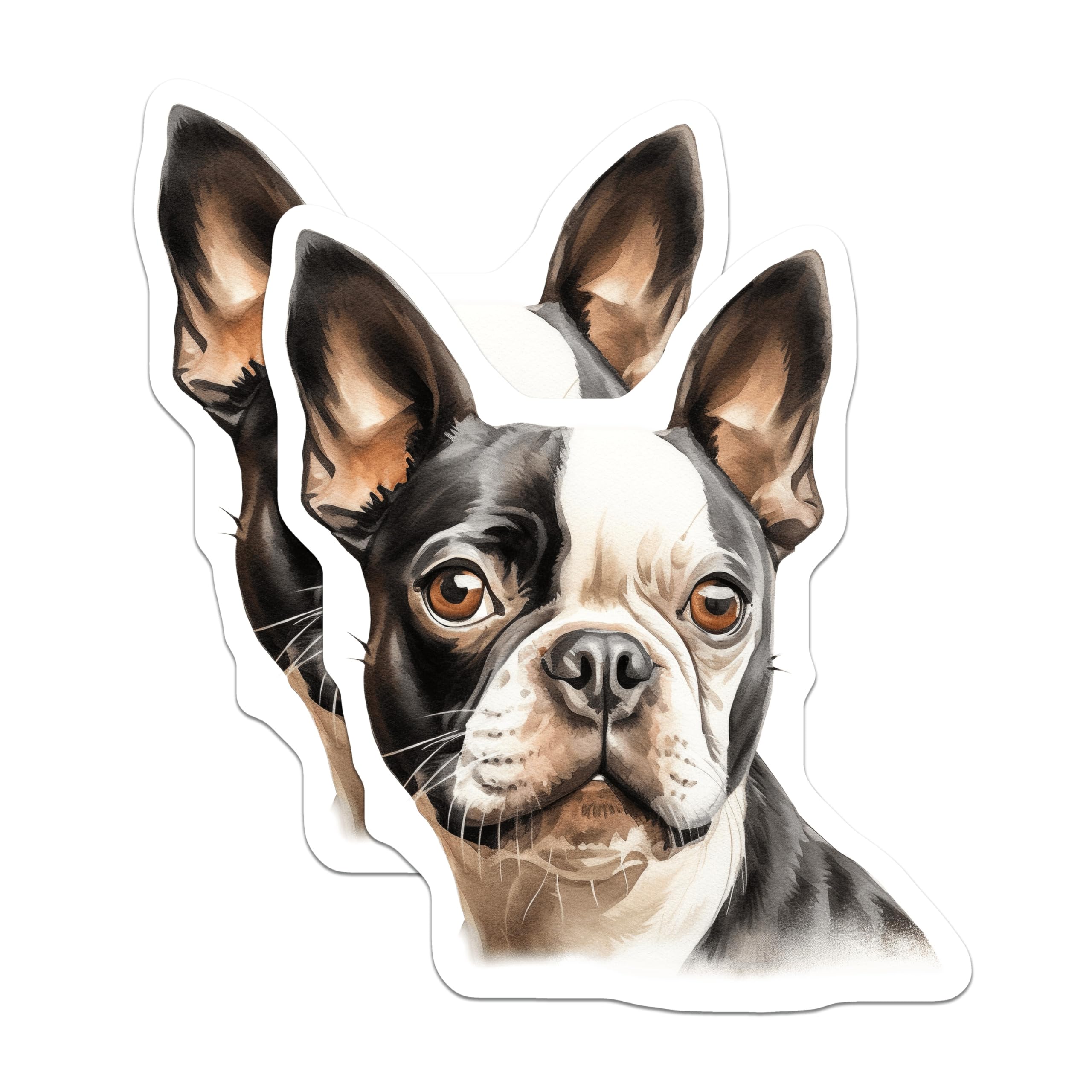 (2 Pack) Boston Terrier Magnets - Dog Mom Aesthetic - Pet Owner Decor for Fridge - 5 Inches On Longest Side - Thick Durable Magnet - Made in USA - MAG26968